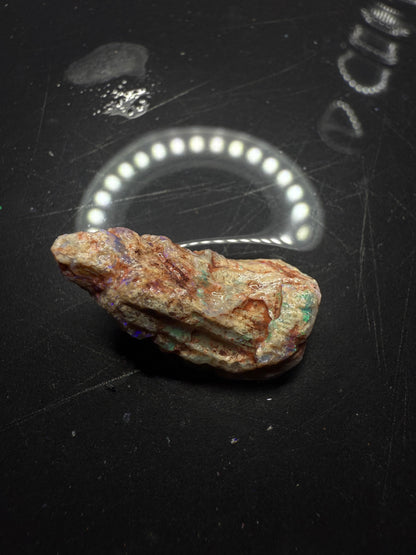 Lightning Ridge Fossilised Wood