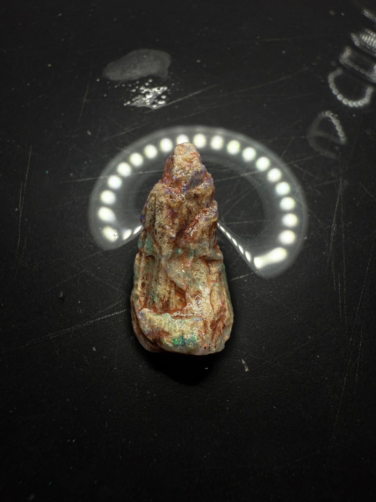 Lightning Ridge Fossilised Wood