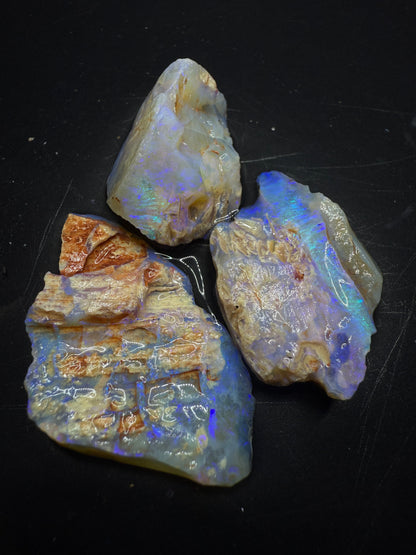 Lightning Ridge Fossilised Wood