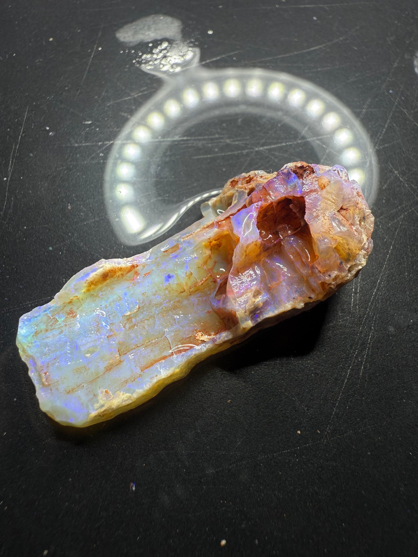 Lightning Ridge Fossilised Wood