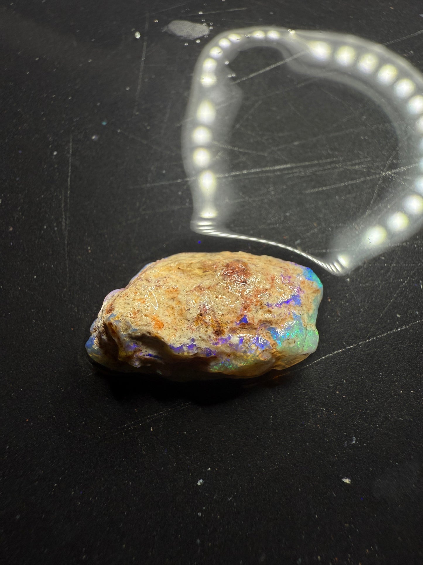 Lightning Ridge Fossilised Wood