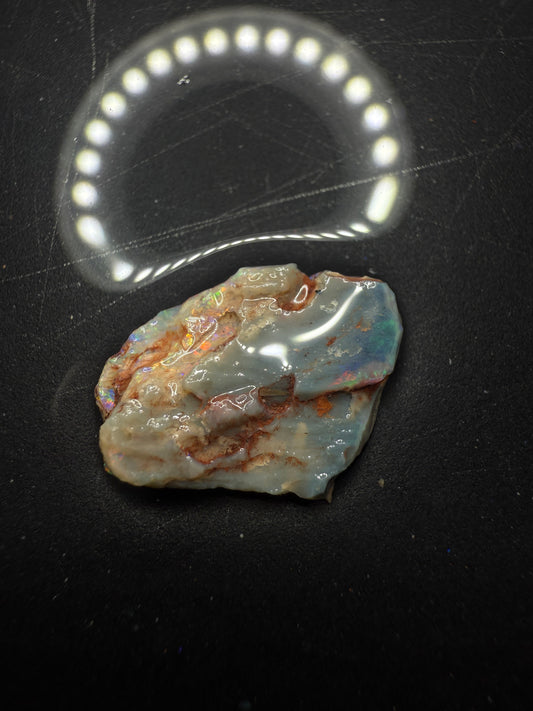 Lightning Ridge Fossilised Wood