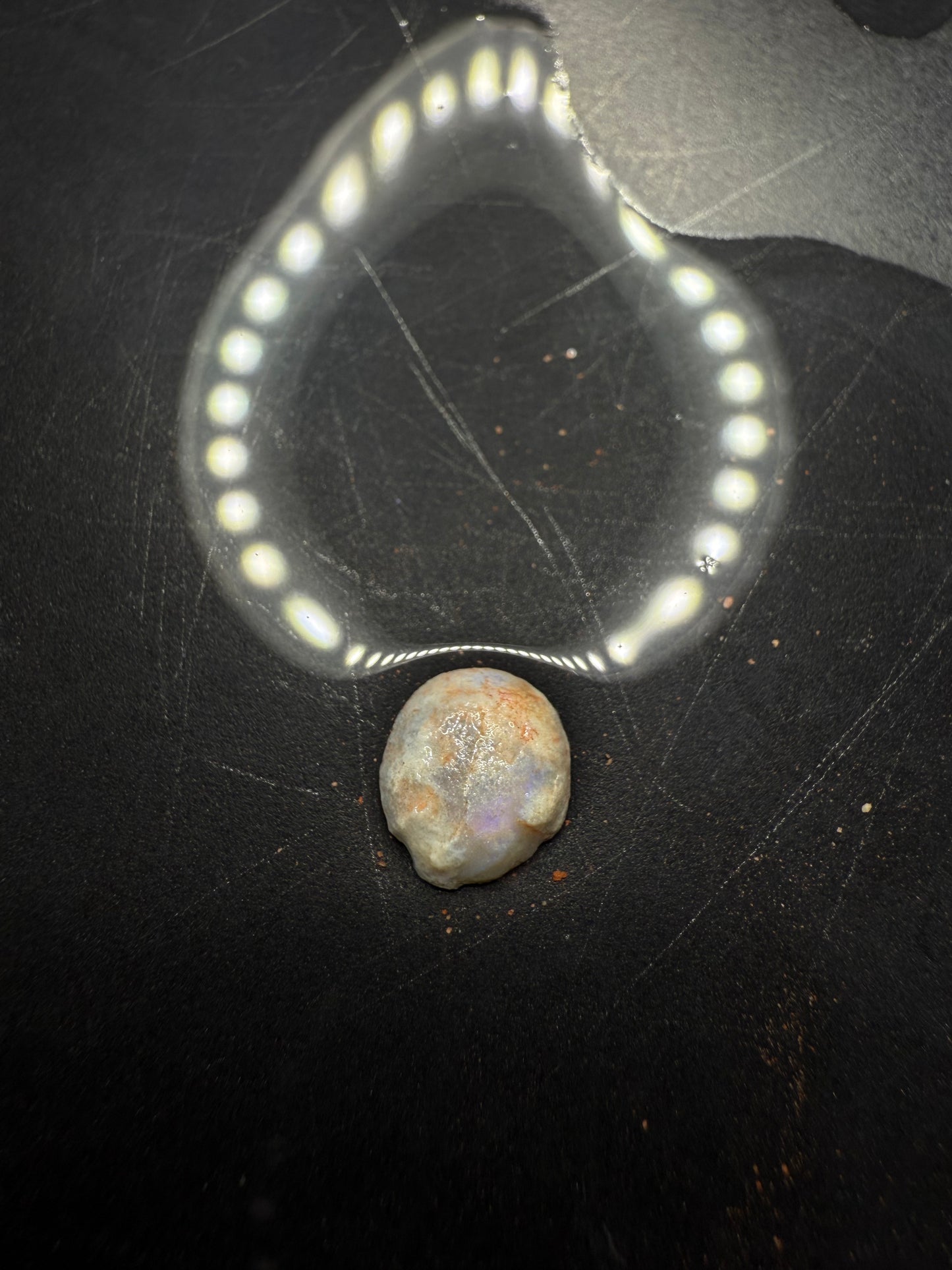 Lightning Ridge Fossilised Yabbie Button