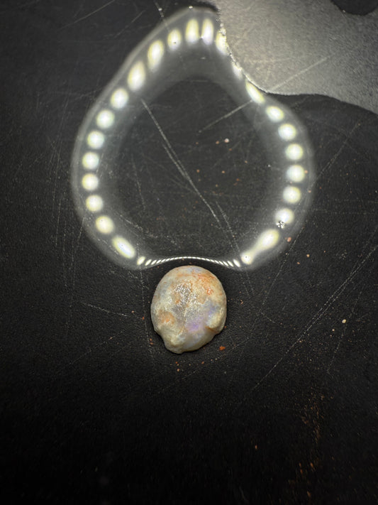 Lightning Ridge Fossilised Yabbie Button