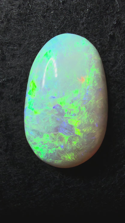 Lightning Ridge Crystal Opal Loose