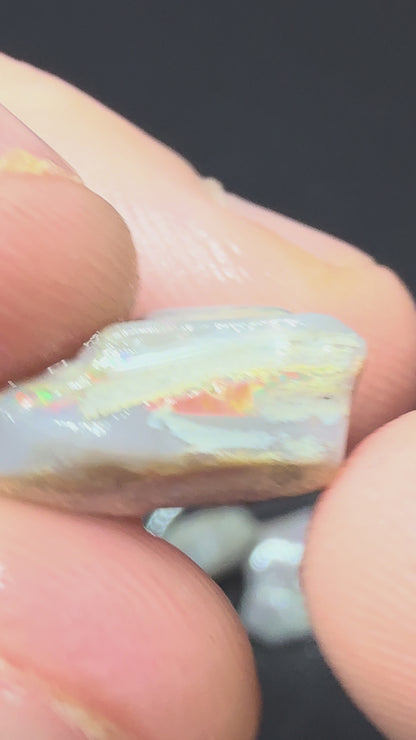 19.92ct Grey Opal Rough Nobby