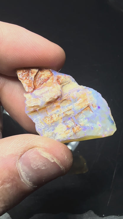 Lightning Ridge Fossilised Wood