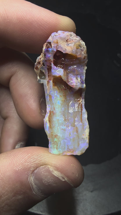 Lightning Ridge Fossilised Wood